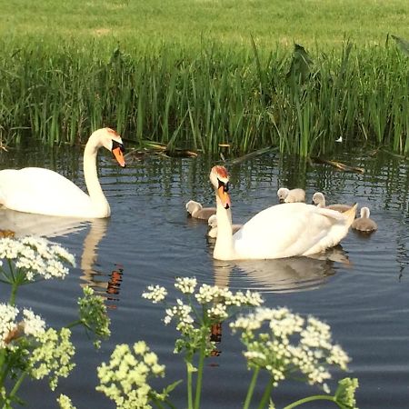 Friesland-Cottage Molkwerum Ngoại thất bức ảnh