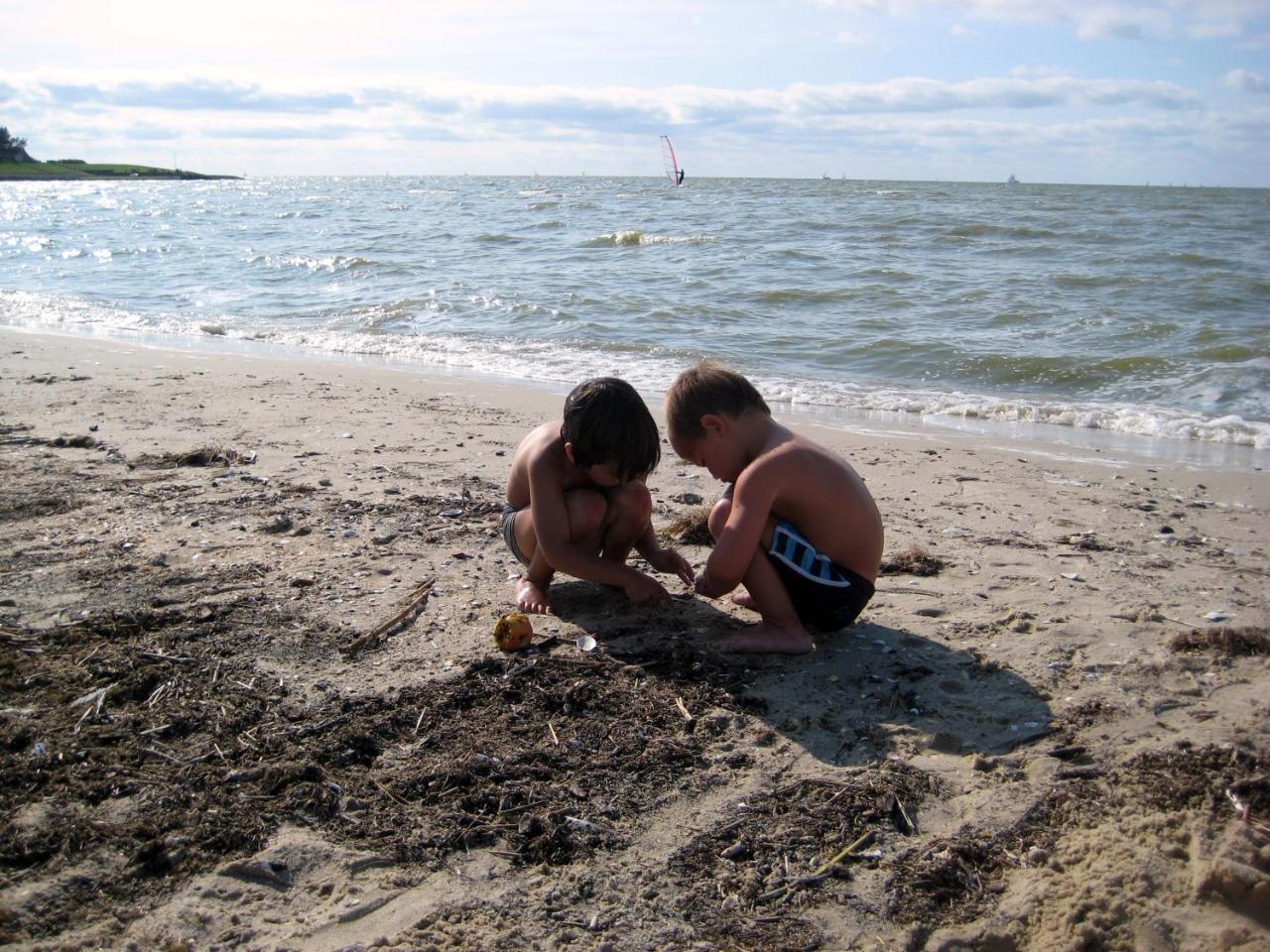 Friesland-Cottage Molkwerum Ngoại thất bức ảnh